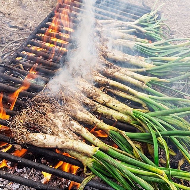 La Ruta del Císter : Calçotada