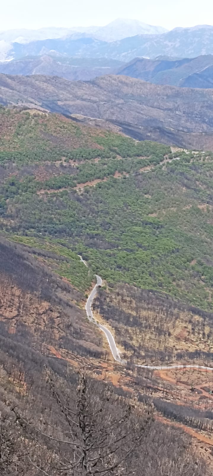 Ruta#1 - Delegación de Málaga: Valle del Genal