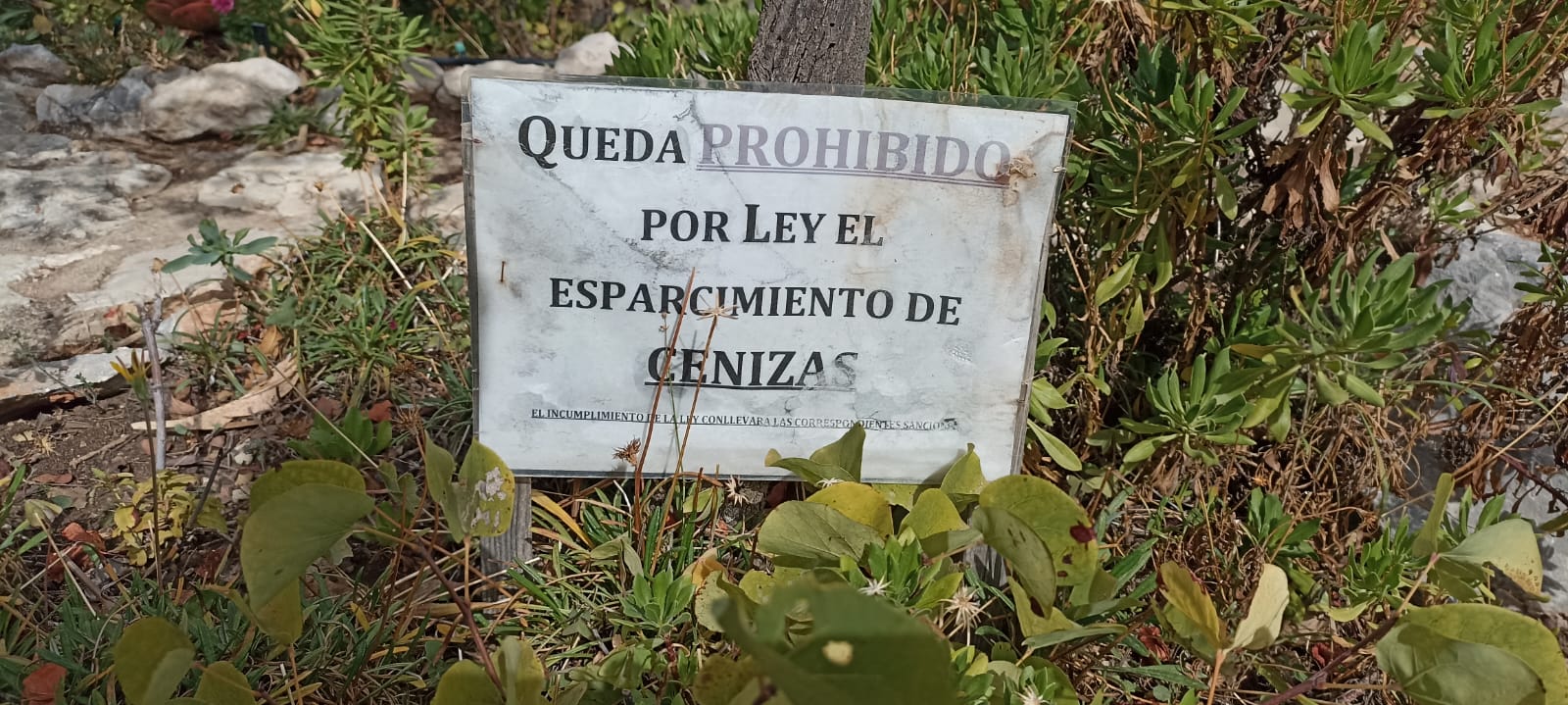 Ruta#1 - Delegación de Málaga: Valle del Genal